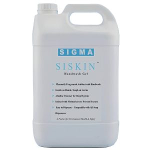 <span style="color:#4093BD; font-family:'Times New Roman', serif; letter-spacing:2px;">   SISKIN  </span>